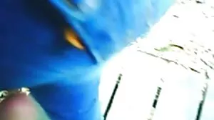 බුස්ටි පච්ච කොටාගත් ඉමෝ යොවුන් හුරුබුහුටි පැටියෙකු ඇදගෙන යයි