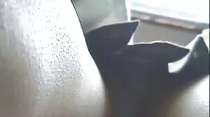 ස්පන්ක්ඩ් කළුවර හෝ සවාරි