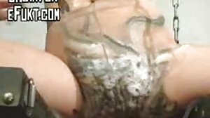 බිග් කුකුළා