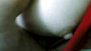 ෆුට්