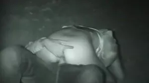 ටයිට් ජර්කින් වේශ් ඔයිල් ඔයිල්